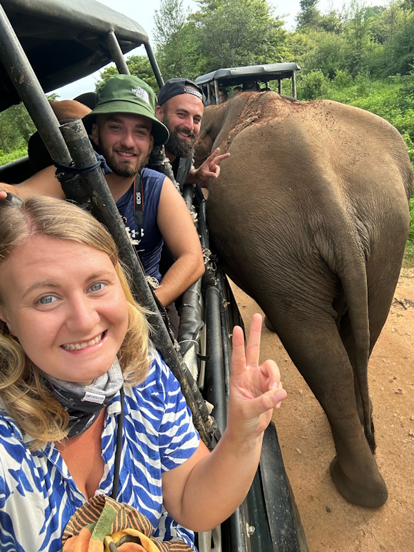 Elefanten zum Anfassen in Sri Lanka auf Safari