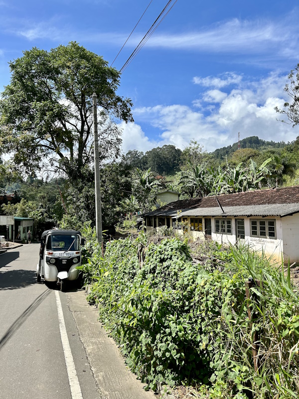 Roadtrip mit dem TukTuk durch Sri Lanka in Ella Berge