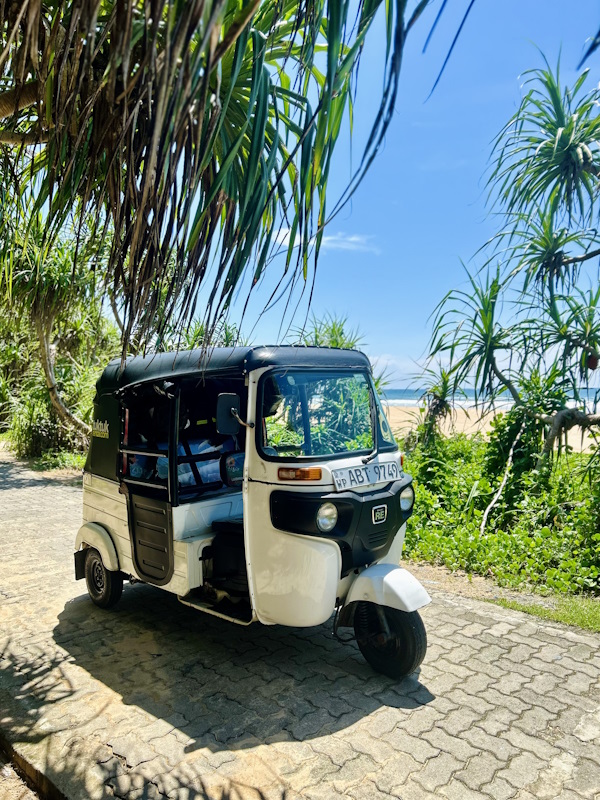 Roadtrip mit dem TukTuk Sri Lanka