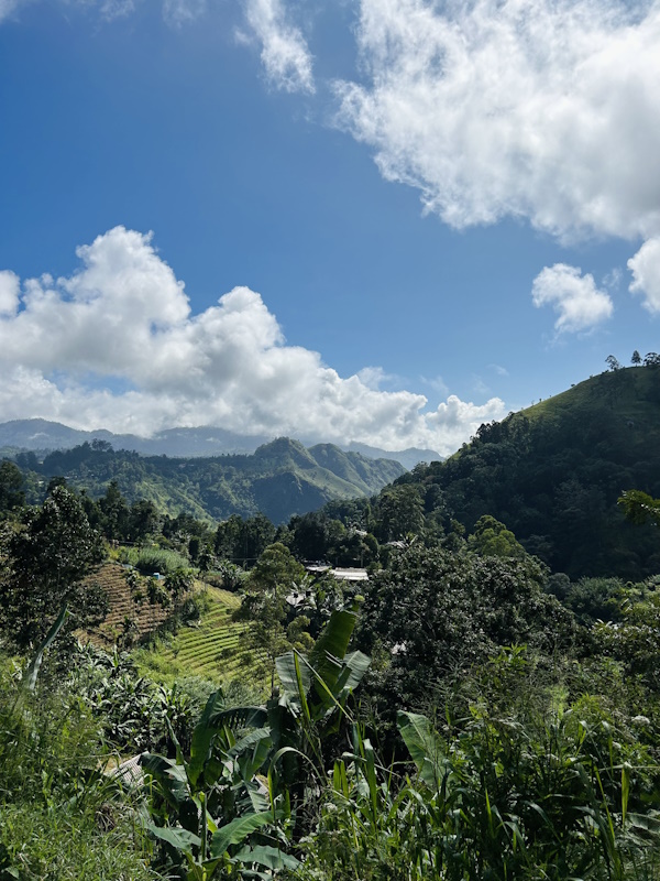 Zug Ella Kandy Sri Lanka Roadtrip TukTuk