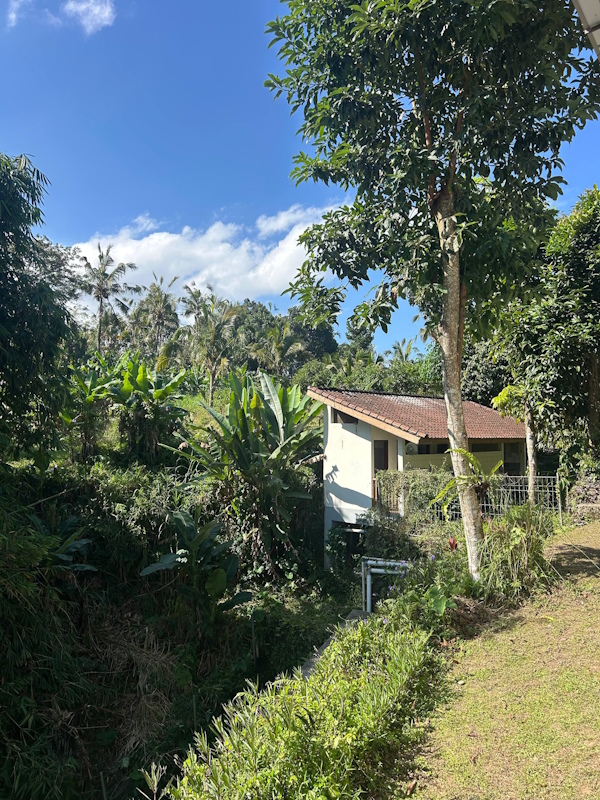 Erfahrung Vipassana Meditation Bali