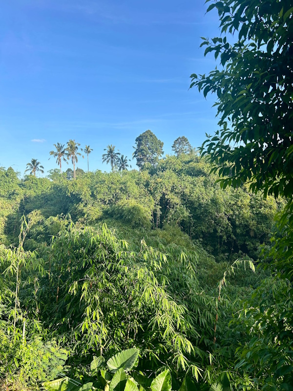 Bericht Vipassana Bali Meditation Dhamma Geha